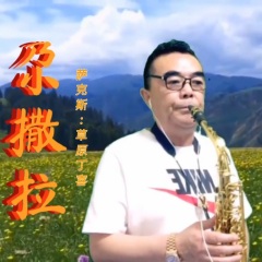 2021-06-19简介:草原丁喜萨克斯演奏《尕撒拉 尕撒拉 歌曲列表