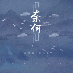 向梦园 - 奈何