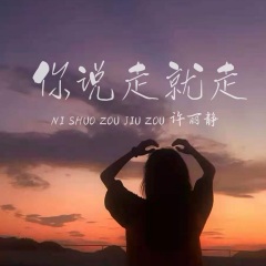 全部播放专辑名:你说走就走歌手:许丽静发行时间:2021-07-02简介:你说