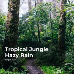 tropical jungle hazy rain