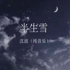 全部播放专辑名:半生雪(纯音乐)歌手:沈波发行时间