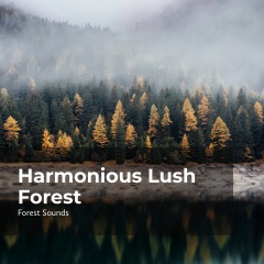 sounds,rainforest sounds,ambient forest harmonious lush forest