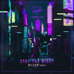 Stay The Night (Wilson Remix)