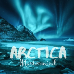 arctica