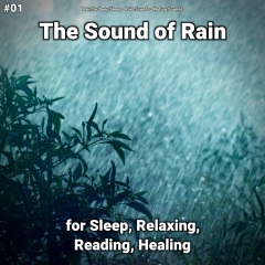 01thesoundofrainforsleeprelaxingreadinghealing