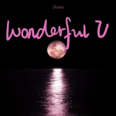 Wonderful U (片段)