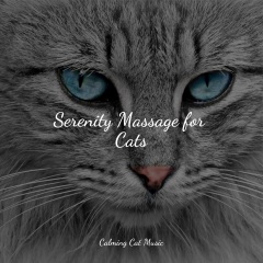 music for cats peace,calm music for cats,official pet care