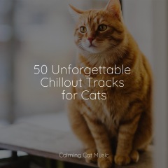 music for cats peace,calm music for cats,official pet care