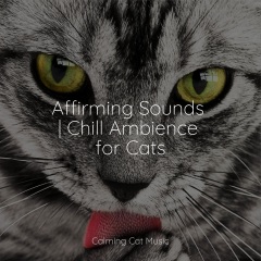 music for cats peace,calm music for cats,official pet care