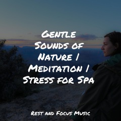 gentlesoundsofnaturemeditationstressforspa