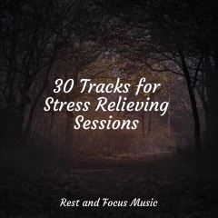 30tracksforstressrelievingsessions