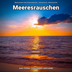 meeresrauschenzumchilleneinschlafenundlesen