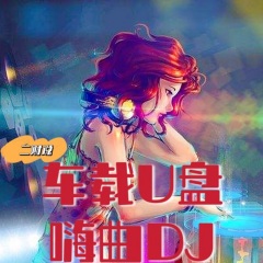 嗨曲DJ- 车载dj一经典老歌系列之红蜻蜓