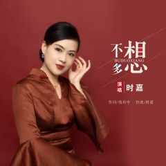 不多想dj版