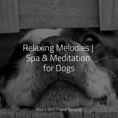 我的位置>首页>专辑>relaxingmelodies|spa&meditationfordogs>