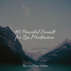 easy sleep music,calm shores,sleepy night music - 40 peaceful