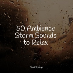 sleep principle,ambientalism 50 ambience storm sounds to relax