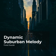 dynamicsuburbanmelody