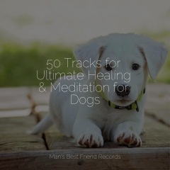 calm doggy,pet care club,music for dog"s ear_50 tracks for