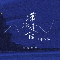潇洒走一回 (伴奏)(DJ R7版)