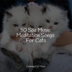 music for resting cats,music for relaxing cats,music for cats de