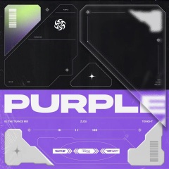 郭沁-紫 (Blithe布莱恩 / Tonight / ZUZU remix)