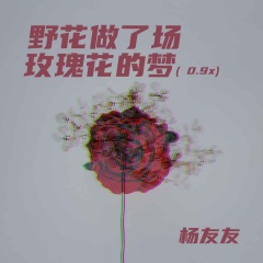 野花做了场玫瑰花的梦 (0.9x)