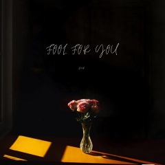 Fool For You (Slow Down)(Dark变速版)