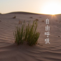 万物生 (Chinese Version)
