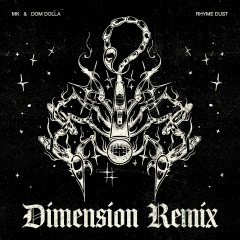 Rhyme Dust (Dimension Remix)