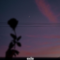 exile (钢琴版)