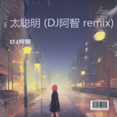 太聪明 (DJ阿智 remix) (Remix)