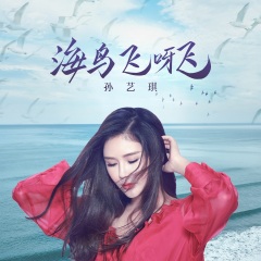 孙艺琪 - 海鸟飞呀飞