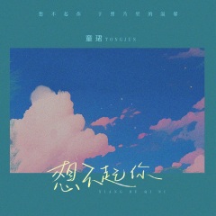 童珺 - 想不起你