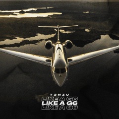 T3nzu - Like A G6