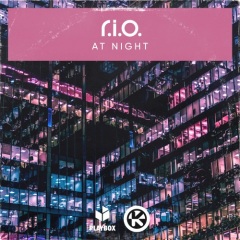 R.I.O. - At Night