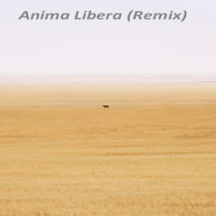 Anima Libera (Remix)