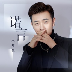 小阿枫 - 诺言