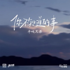 半吨兄弟 - 你不知道的事