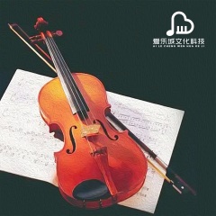b小调小提琴协奏曲 第一乐章 (古典小提琴独奏曲)