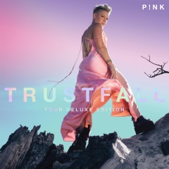 P!NK、Brandi Carlile - Nothing Compares 2 U (Live)