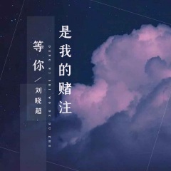 刘晓超 - 等你是我的赌注