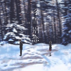 冬雪别恋 (DJEva版)
