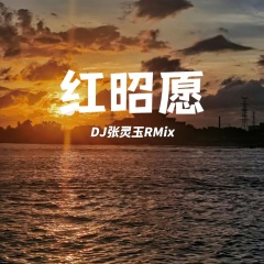 红昭愿 (DJ张灵玉、DJ尤宏pro、DJ Siqe版)