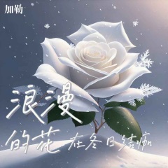 浪漫的花在冬日结痂 (加速版)
