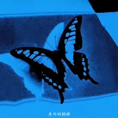 有形的翅膀 (0.98x)