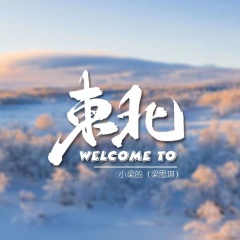 Welcome to东北 (DJ默涵版)(伴奏)