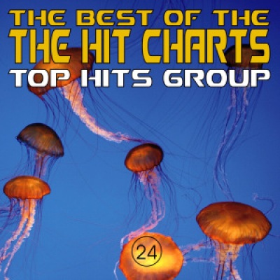 The Best of the Hit Charts, Vol. 24