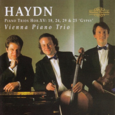 Piano Trio in G major Hob.XV: 25 'Gypsy': I. Andante