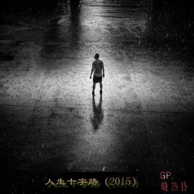 人生十字路（2015）